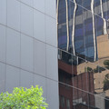 DSC_7411.jpg